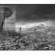 All Images: Nick Brandt